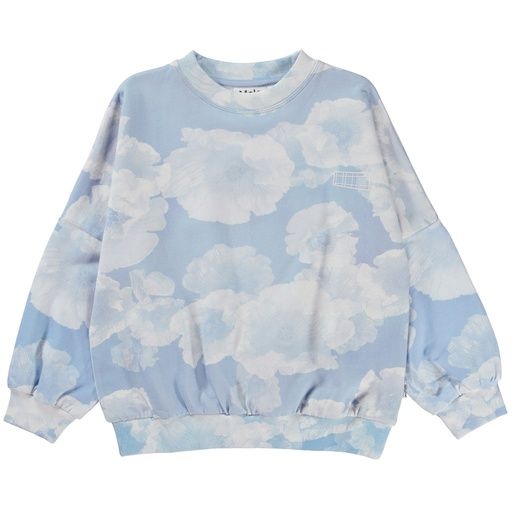 [01-28297.0] Cloudy Poppies Sweater (116)