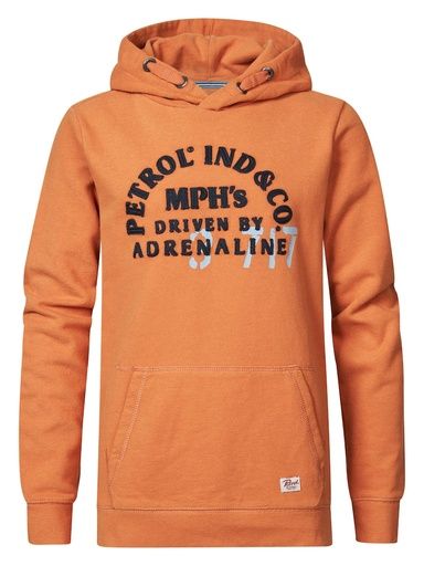 [01-28329.0] EMBROIDERED HOODIE BOYS (128)