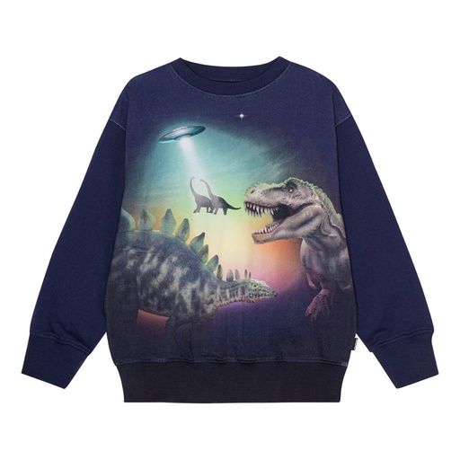 [01-31983.1] Sweater mit Dinos Fotodruck (110)
